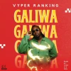 Vyper Ranking